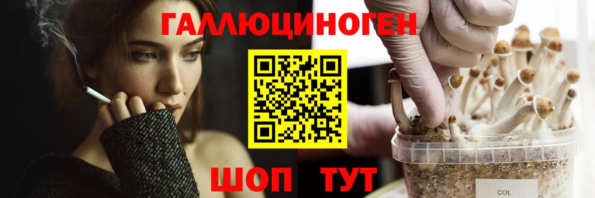 Галлюциногенные грибы прущие грибы  Вход с VPN  Псилоцибиновые грибы мицелий  Ртищево 